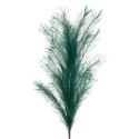 KW/FLORE/672/C.T 110X20(X6) C.TUR KW/FLORE/672/C.T 110X20(X6) C.TUR