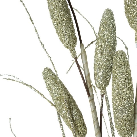 KW/FLORE/722/SZA SZAM KW/FLORE/722/SZA SZAM