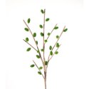 KW/FLORE/642/A 30X35 ZIEL (X6)