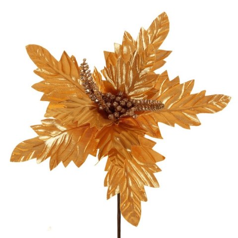 SW/KW/237 26X14 gold SW/KW/237 26X14 gold