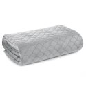 CHON/ARIEL/SREB 70X160 SREB CHON/ARIEL/SREB 70X160 SREB