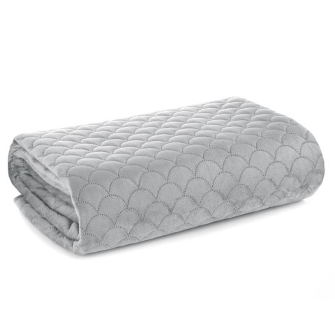 CHON/ARIEL/SREB 70X160 SREB CHON/ARIEL/SREB 70X160 SREB