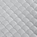 CHON/ARIEL/SREB 70X160 SREB CHON/ARIEL/SREB 70X160 SREB