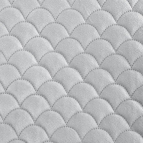 CHON/ARIEL/SREB 70X160 SREB CHON/ARIEL/SREB 70X160 SREB