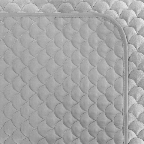 CHON/ARIEL/SREB 70X160 SREB CHON/ARIEL/SREB 70X160 SREB