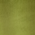 Vorhang PIERRE/OLIW 140X250 Ösen
